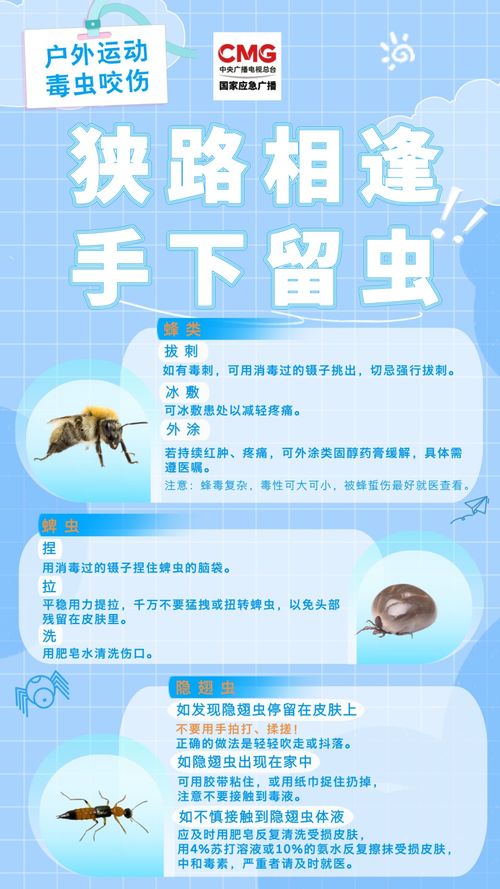 抢救室工作制度，保障患者生命安全的基石