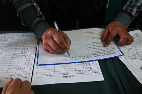 深入解析工伤事故调查报告书，关键要素与撰写指南