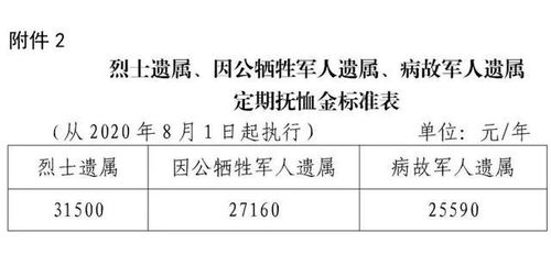 优抚对象抚恤补助标准，全面解读与政策指导