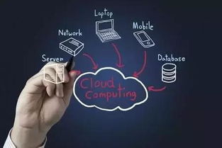 揭秘拉血现象，了解背后的真相与应对策略