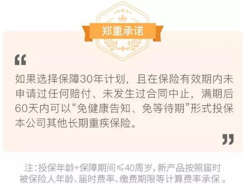 保险法2009，保护您的权益，理解保险的基石