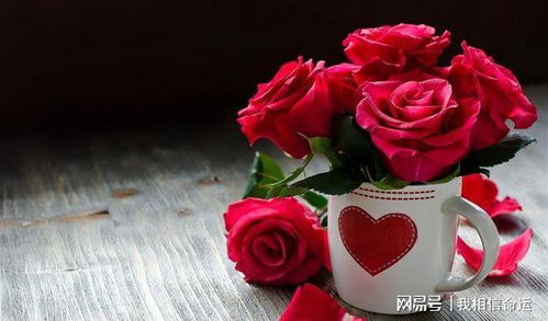 揭秘玫瑰花价格，影响因素与购买指南