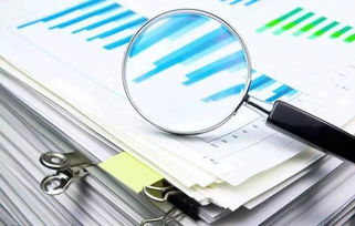 深入解析，如何查询公司信用等级，保护您的商业利益