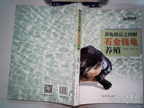 金钱龟养殖，财富的慢步者