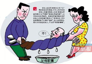 守护夕阳红，深入解读老年人权益保障法