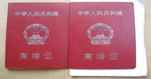 离婚证照片，法律、隐私与情感的交织