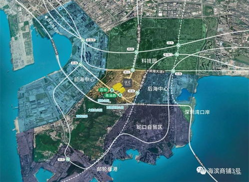 蛇口逃生，揭秘蛇吃人事件的真相与生存策略