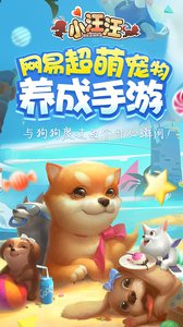 汪汪快乐颂，狗狗的快乐秘诀与人类幸福生活的桥梁