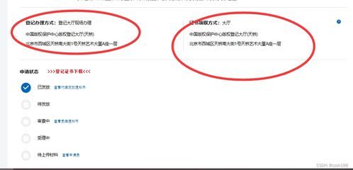 全面指南，软件著作权登记的详细步骤与注意事项