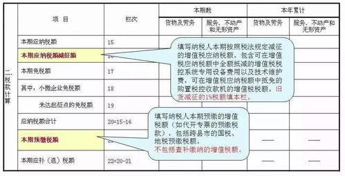 增值税小规模纳税人税率，政策解读与实操指南