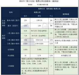 2019年社保缴费标准全解析，了解您的权益，规划您的未来