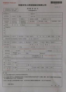 如何撰写一份高效且专业的车险索赔申请书