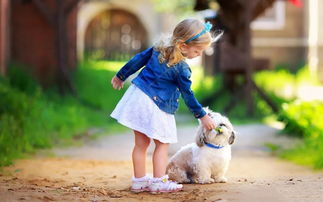 圣诞狗狗之圣诞小宝贝，温馨家庭电影的治愈之旅