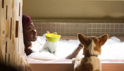 圣诞狗狗之圣诞小宝贝，温馨家庭电影的治愈之旅