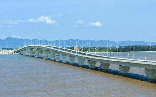 探索越南婚介所，跨文化联姻的桥梁