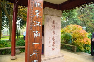 杭州房产税，守护你的钱包，了解税收新动态