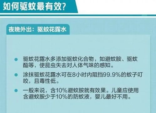被臭虫咬了怎么办，应对策略与预防措施