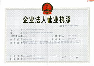 深圳营业执照办理全攻略，电话、流程、注意事项一文详解