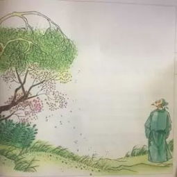 叶玉晚来春，探索晚春时节的自然之美与文化意蕴