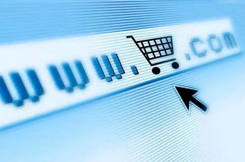 诉讼离婚，费用解析与成本考量