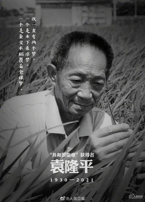探索生命的终极宁静，最不痛的死亡10种方法