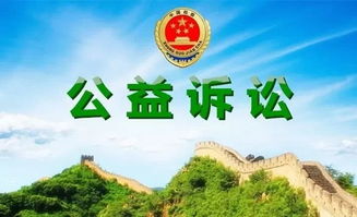 阳朔县委书记，绿水青山的守护者，人民幸福的领路人