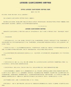 企业职工奖惩条例，激励与规范的艺术