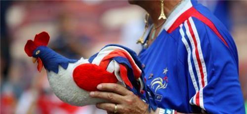 法国的国鸟，高卢雄鸡的象征与意义