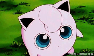 龙猫之谜，揭开这个毛茸茸小精灵的真实身份