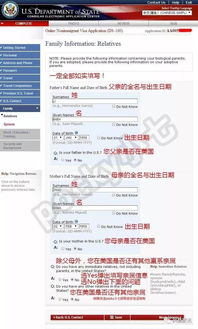 轻松掌握出入境网上签证，步骤、技巧与实用建议