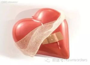 司法改革的春风，最新动态与深远影响