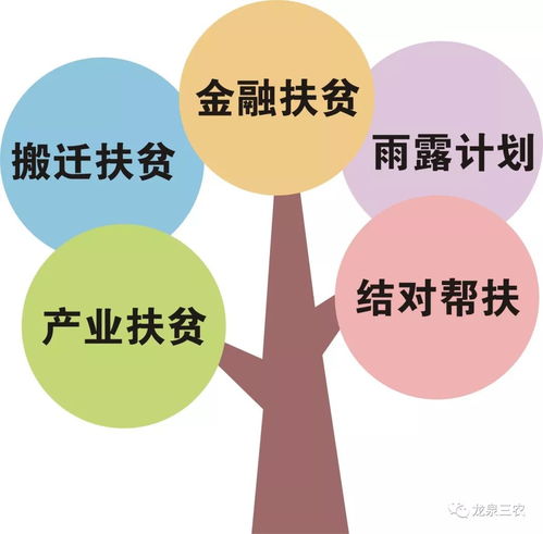 深入了解农村低保标准，保障与支持的桥梁