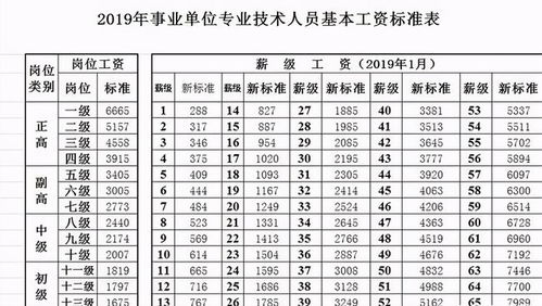 深入了解薪级工资对照表，你的收入水平如何？