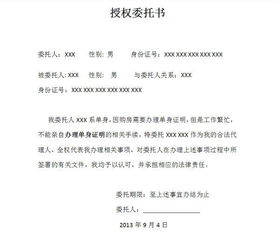 单身证明范本，如何正确撰写及使用指南