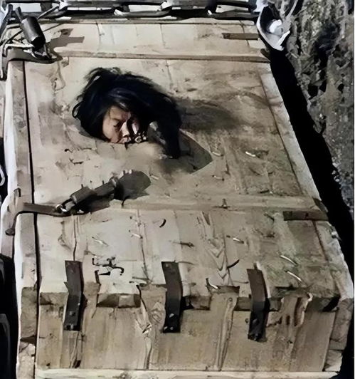 刑罚个别化，公正与效率的平衡艺术