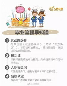 复婚手续全攻略，简化流程，重建幸福