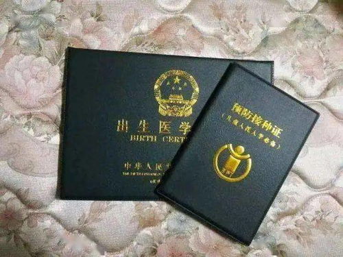 丢失出生证明的全面解决方案，找回、补办与替代证明的详细指南