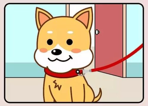 成年的启航，刚满十八岁的你应该知道的事