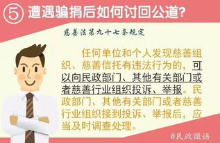 揭开捐款造假的法律面纱，责任与后果