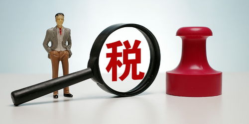 深入了解侵占公司财产罪，法律解析与防范策略