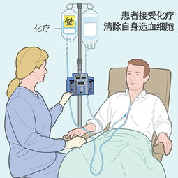 血癌，当血液变得不寻常