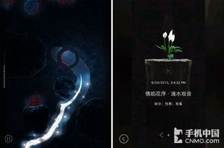 正义的指南针，刑诉法全文的奥秘与力量