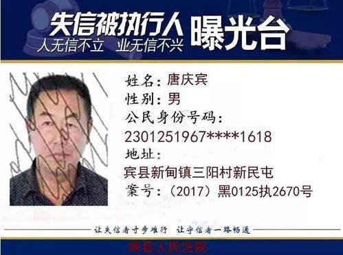 深入了解失信人被执行人查询，保护您的权益与信用