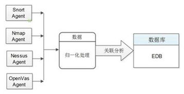 关联交易风险，识别、评估与管理