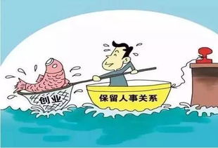 社会保险费的承担，责任与义务解析