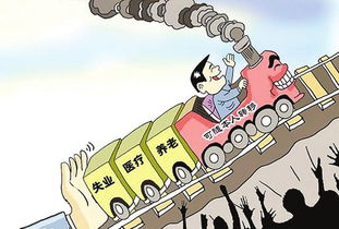 社会保险费的承担，责任与义务解析