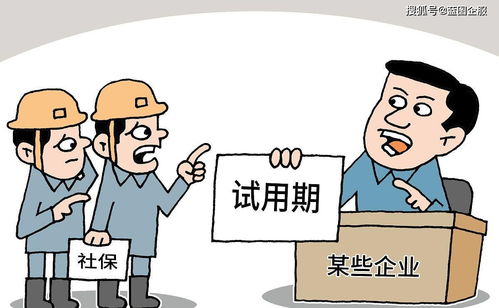 社会保险费的承担，责任与义务解析