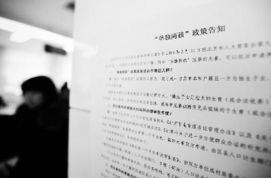 北京单独两孩政策，家庭规划与社会影响的深度解析