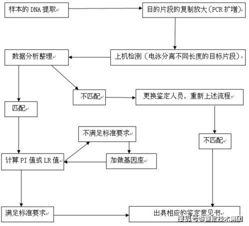 亲子鉴定，费用、流程与重要性