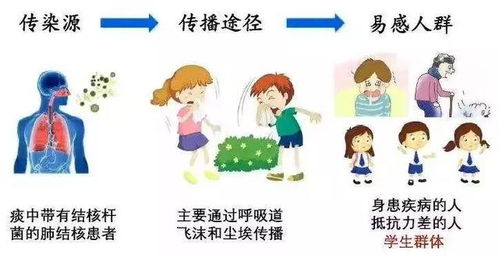 深入了解传染病，种类、传播途径及预防措施